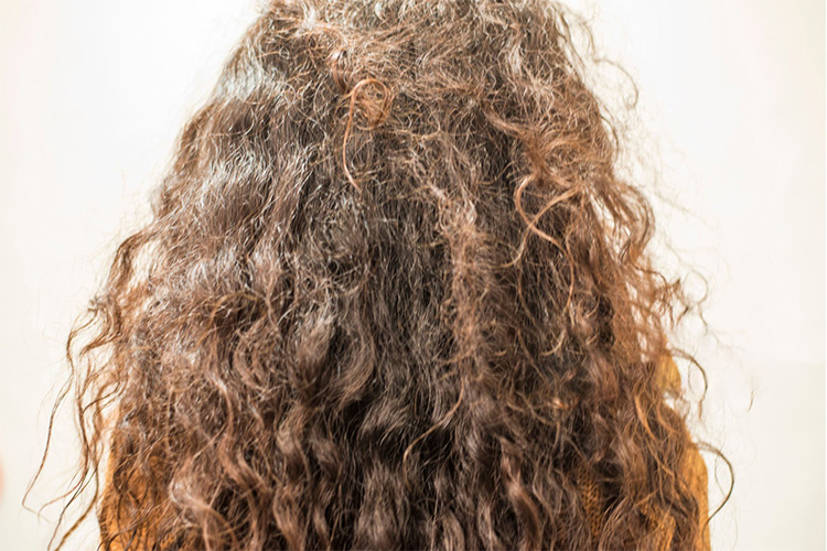 جنس انواع مو: موی خشک (Dry Hair)